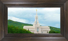 Load image into Gallery viewer, Bountiful Hillside