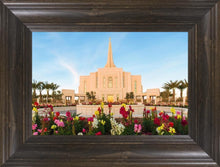 Load image into Gallery viewer, Gilbert 03