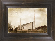 Load image into Gallery viewer, Boise Vintage (New)