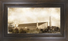 Load image into Gallery viewer, Boise Vintage (New)