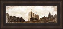 Load image into Gallery viewer, Logan Vintage