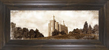 Load image into Gallery viewer, Logan Vintage
