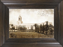 Load image into Gallery viewer, Newport Beach Vintage