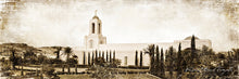 Load image into Gallery viewer, Newport Beach Vintage