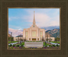 Load image into Gallery viewer, Ogden rebirth