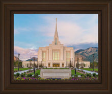 Load image into Gallery viewer, Ogden rebirth
