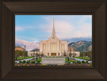 Load image into Gallery viewer, Ogden rebirth