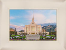 Load image into Gallery viewer, Ogden rebirth
