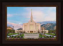 Load image into Gallery viewer, Ogden rebirth