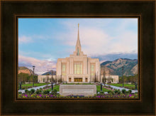 Load image into Gallery viewer, Ogden rebirth