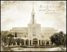 Load image into Gallery viewer, Bountiful Vintage