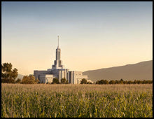 Load image into Gallery viewer, Mt Timp Harvest