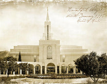 Load image into Gallery viewer, Bountiful Vintage