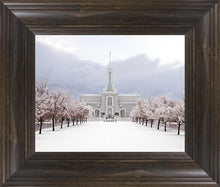 Load image into Gallery viewer, Mt Timpanogos Morning Snow