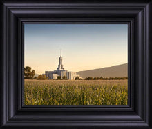 Load image into Gallery viewer, Mt Timp Harvest