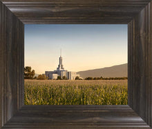 Load image into Gallery viewer, Mt Timp Harvest