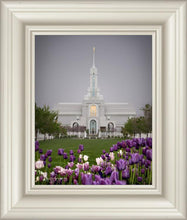 Load image into Gallery viewer, Mt Timp Tulips