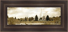 Load image into Gallery viewer, Idaho Falls Vintage