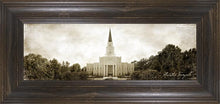 Load image into Gallery viewer, Houston Vintage