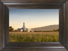 Load image into Gallery viewer, Mt Timp Harvest