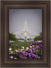Load image into Gallery viewer, Mt Timp Tulips