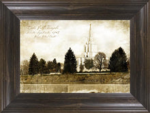 Load image into Gallery viewer, Idaho Falls Vintage