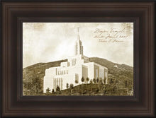 Load image into Gallery viewer, Draper Vintage