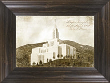 Load image into Gallery viewer, Draper Vintage