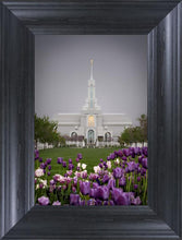 Load image into Gallery viewer, Mt Timp Tulips