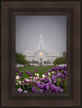Load image into Gallery viewer, Mt Timp Tulips