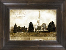 Load image into Gallery viewer, Idaho Falls Vintage