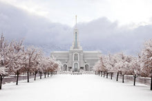 Load image into Gallery viewer, Mt Timpanogos Morning Snow