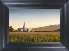 Load image into Gallery viewer, Mt Timp Harvest