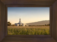 Load image into Gallery viewer, Mt Timp Harvest