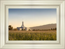 Load image into Gallery viewer, Mt Timp Harvest