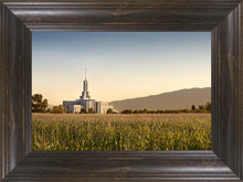 Load image into Gallery viewer, Mt Timp Harvest
