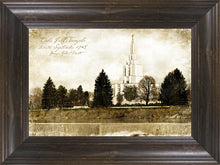 Load image into Gallery viewer, Idaho Falls Vintage