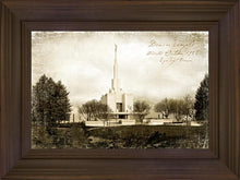Load image into Gallery viewer, Denver Vintage