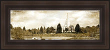 Load image into Gallery viewer, Idaho Falls Vintage
