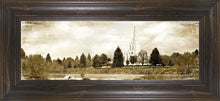 Load image into Gallery viewer, Idaho Falls Vintage