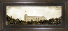 Load image into Gallery viewer, Boston Vintage
