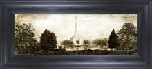 Load image into Gallery viewer, Denver Vintage