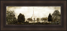 Load image into Gallery viewer, Denver Vintage
