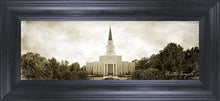 Load image into Gallery viewer, Houston Vintage