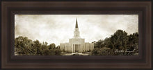 Load image into Gallery viewer, Houston Vintage