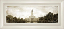 Load image into Gallery viewer, Houston Vintage