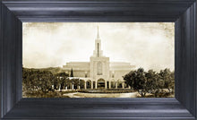 Load image into Gallery viewer, Bountiful Vintage