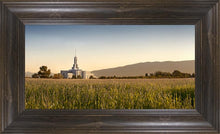 Load image into Gallery viewer, Mt Timp Harvest