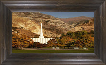 Load image into Gallery viewer, Provo Fall Rock Canyon