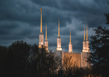 Load image into Gallery viewer, A Beacon in the Night Washington DC